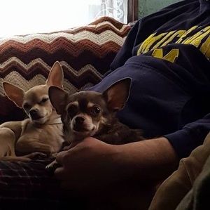 Meet your Posher, Denise